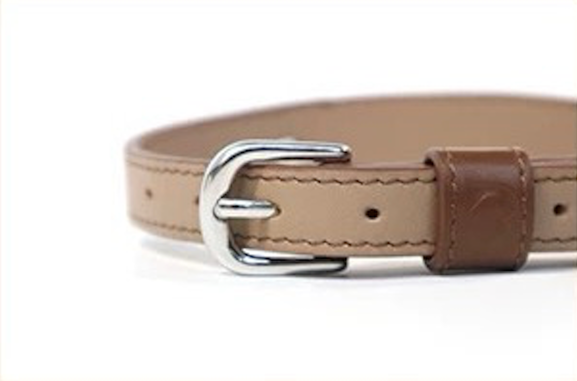 BOVER Custom Letter Collar