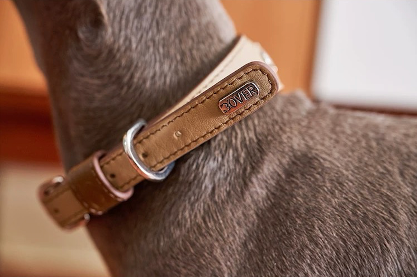 BOVER Custom Letter Collar