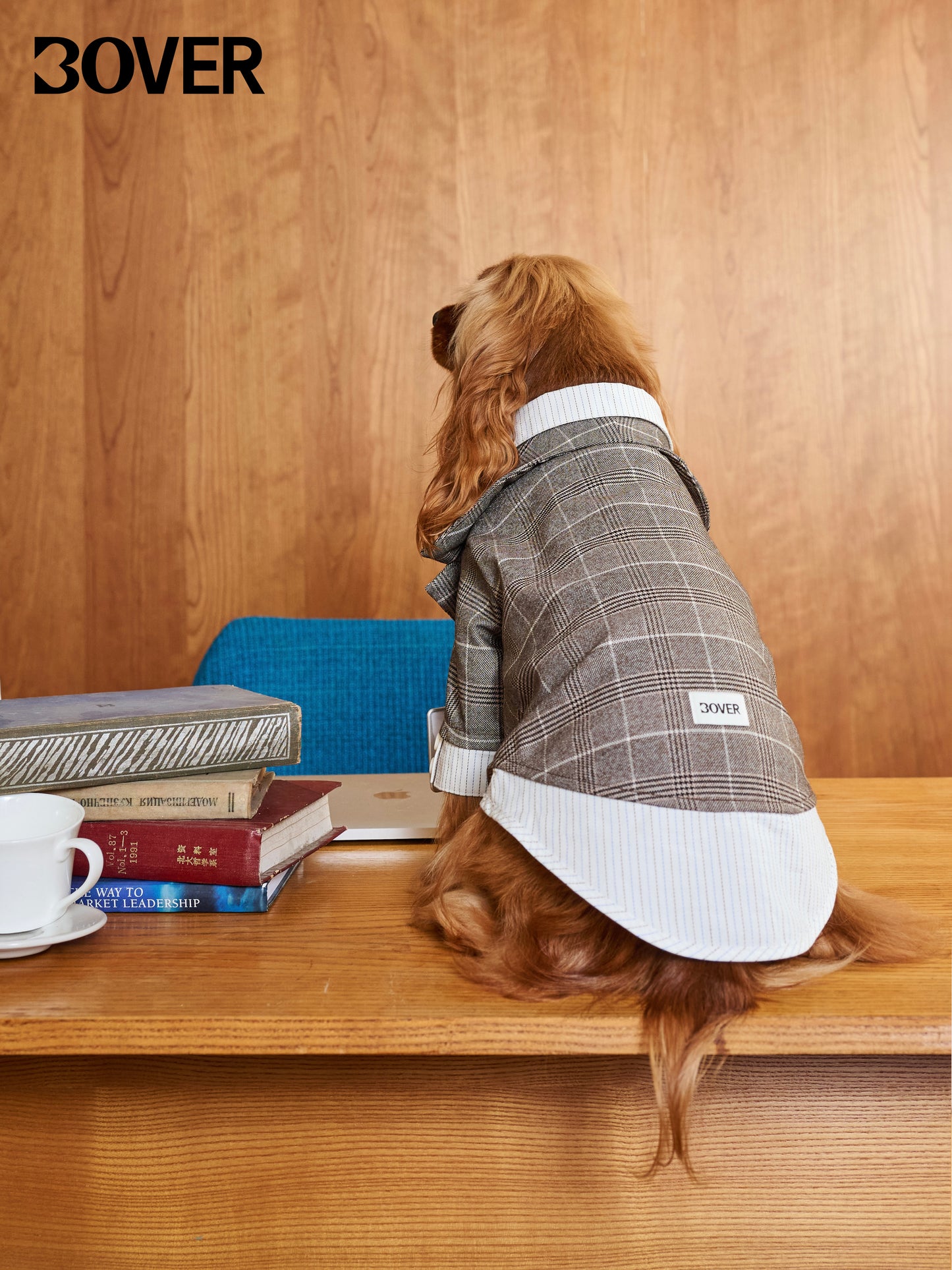 BOVER "Office Dog" Blazer Set - Detachable Tie & Mock Two-Piece Design
