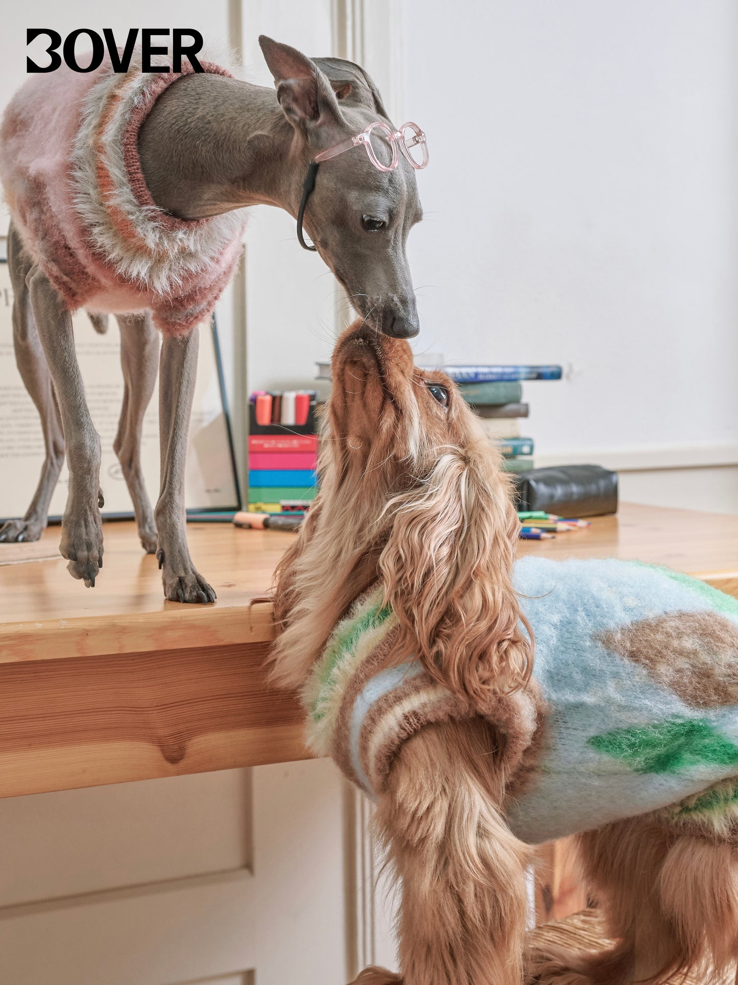 BOVER "Student Dog" Knit Vest - British Academic Style Pet Sweater