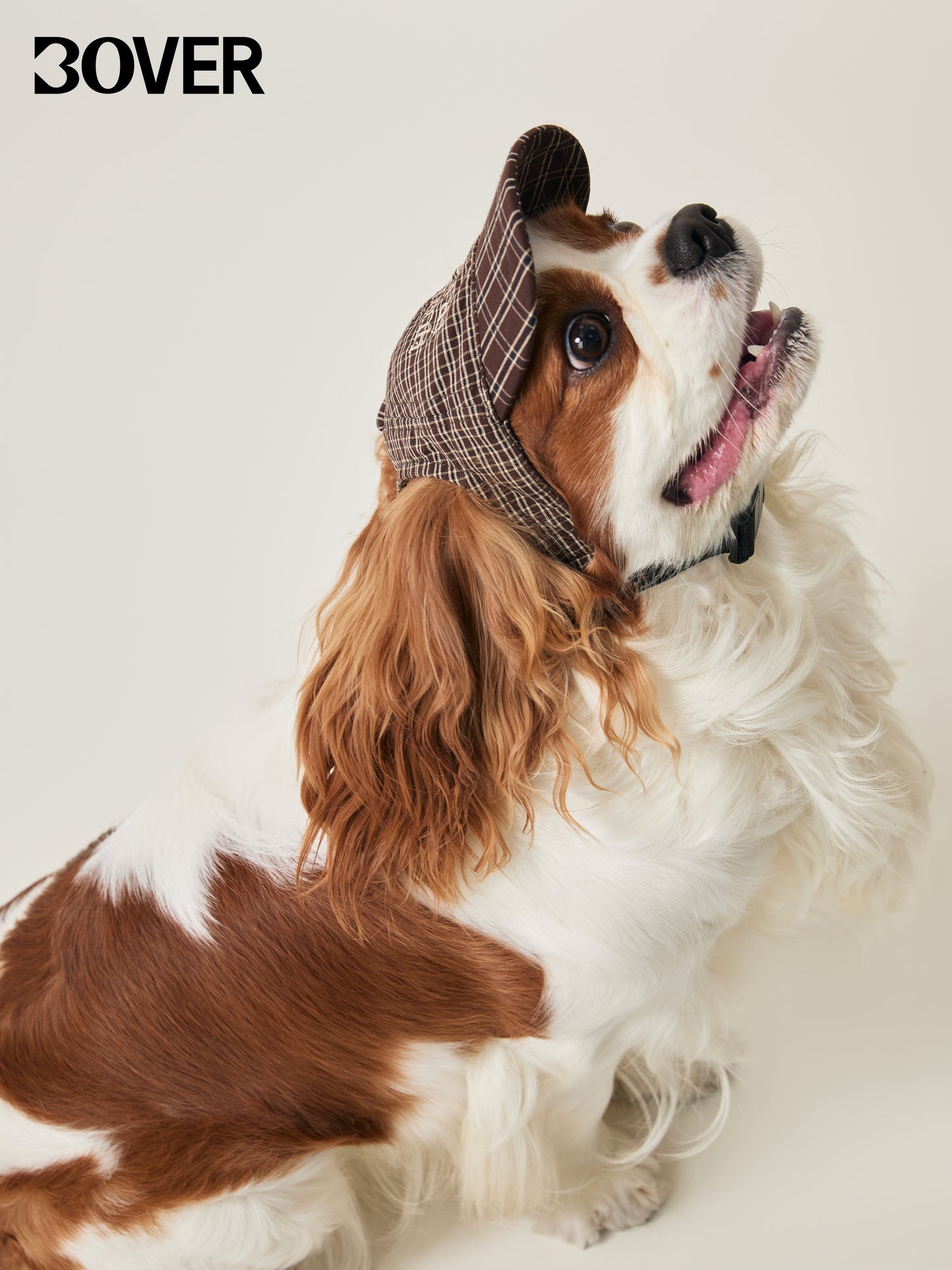 BOVER Pet Baseball Cap - Magnetic Buckle with Coconut Tag