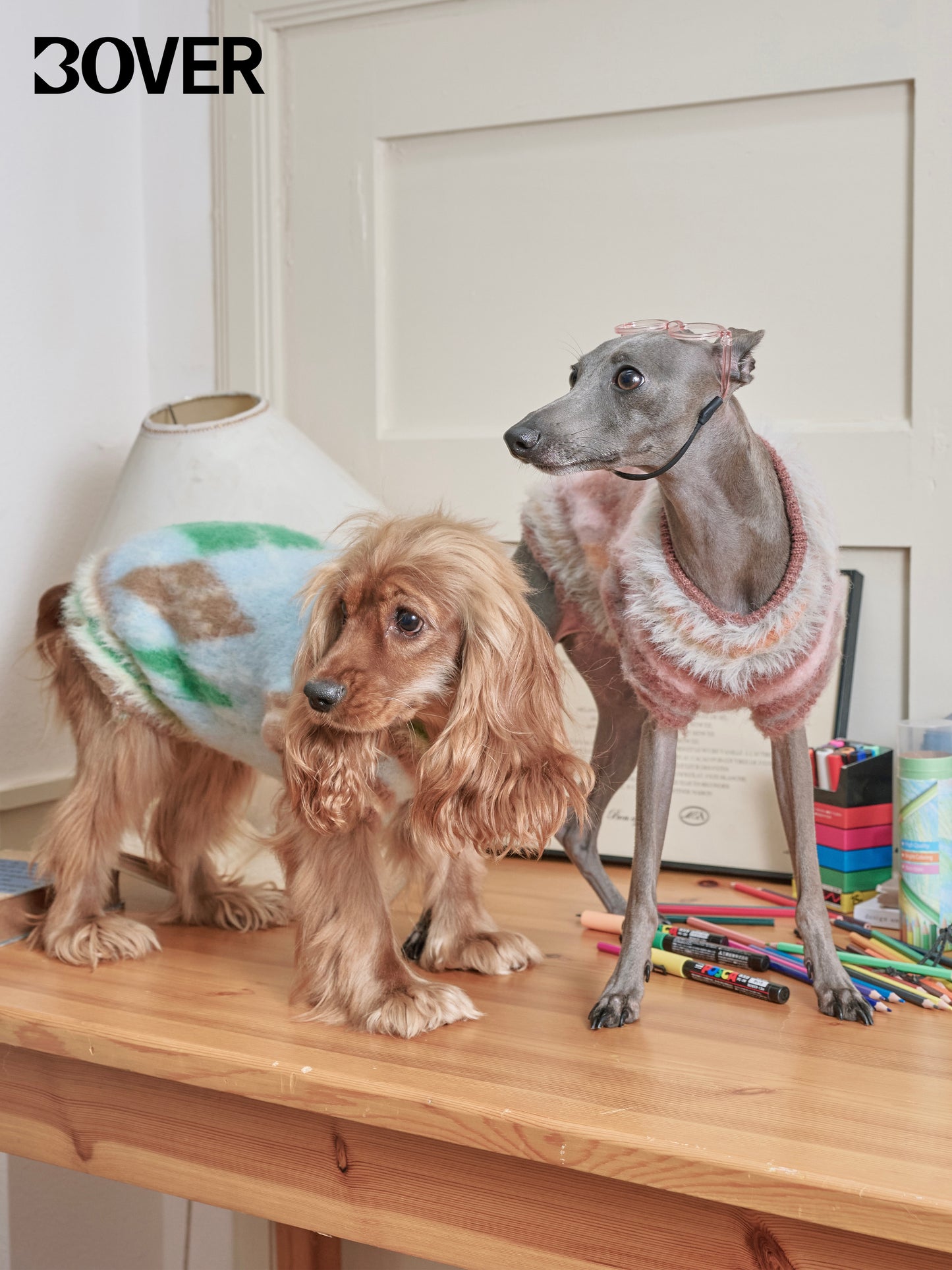 BOVER "Student Dog" Knit Vest - British Academic Style Pet Sweater