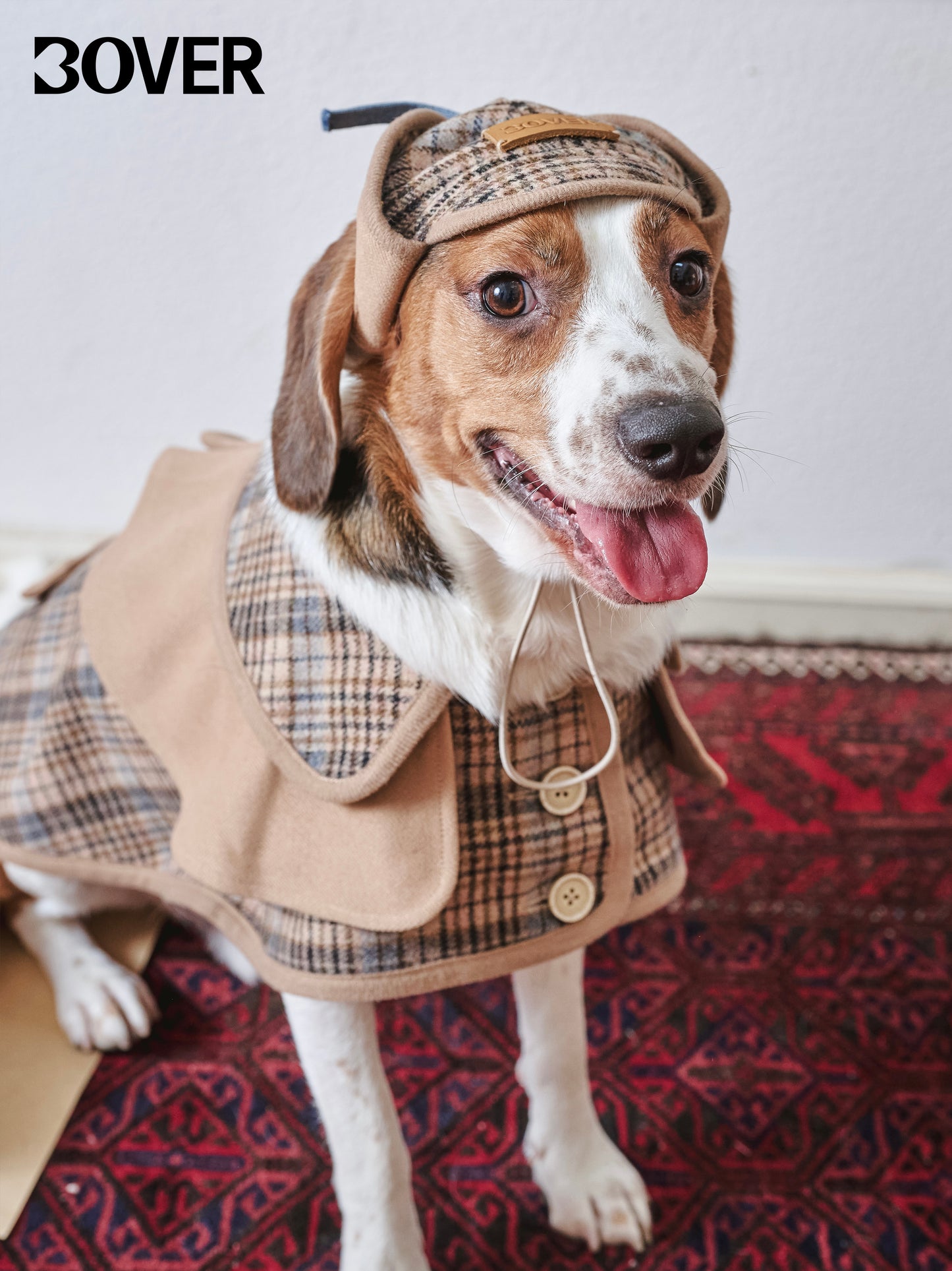 BOVER "Detective Dog" Sherlock Hat - British Style with Adjustable Strap