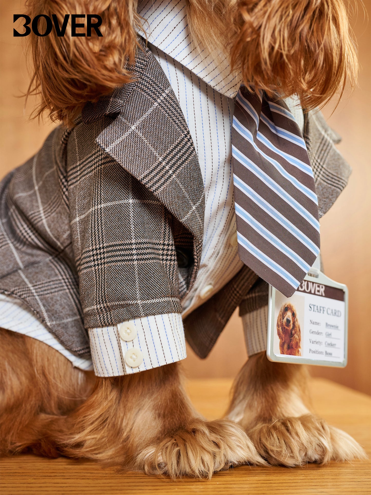 BOVER "Office Dog" Blazer Set - Detachable Tie & Mock Two-Piece Design