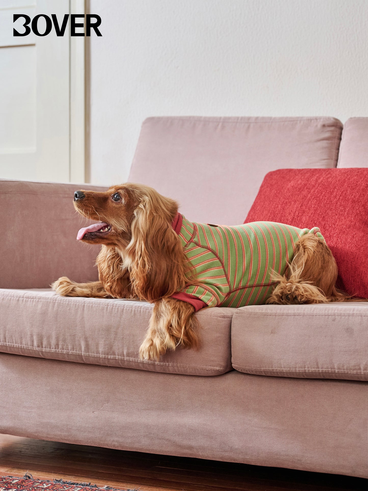 BOVER "Homebody Dog" Velvet Shirt - Cozy Pet Loungewear