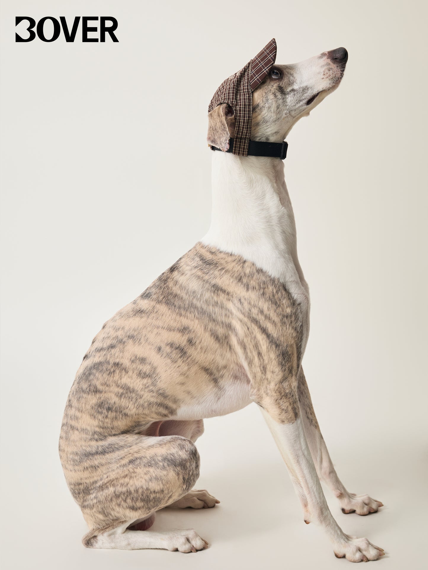 BOVER Pet Baseball Cap - Magnetic Buckle with Coconut Tag
