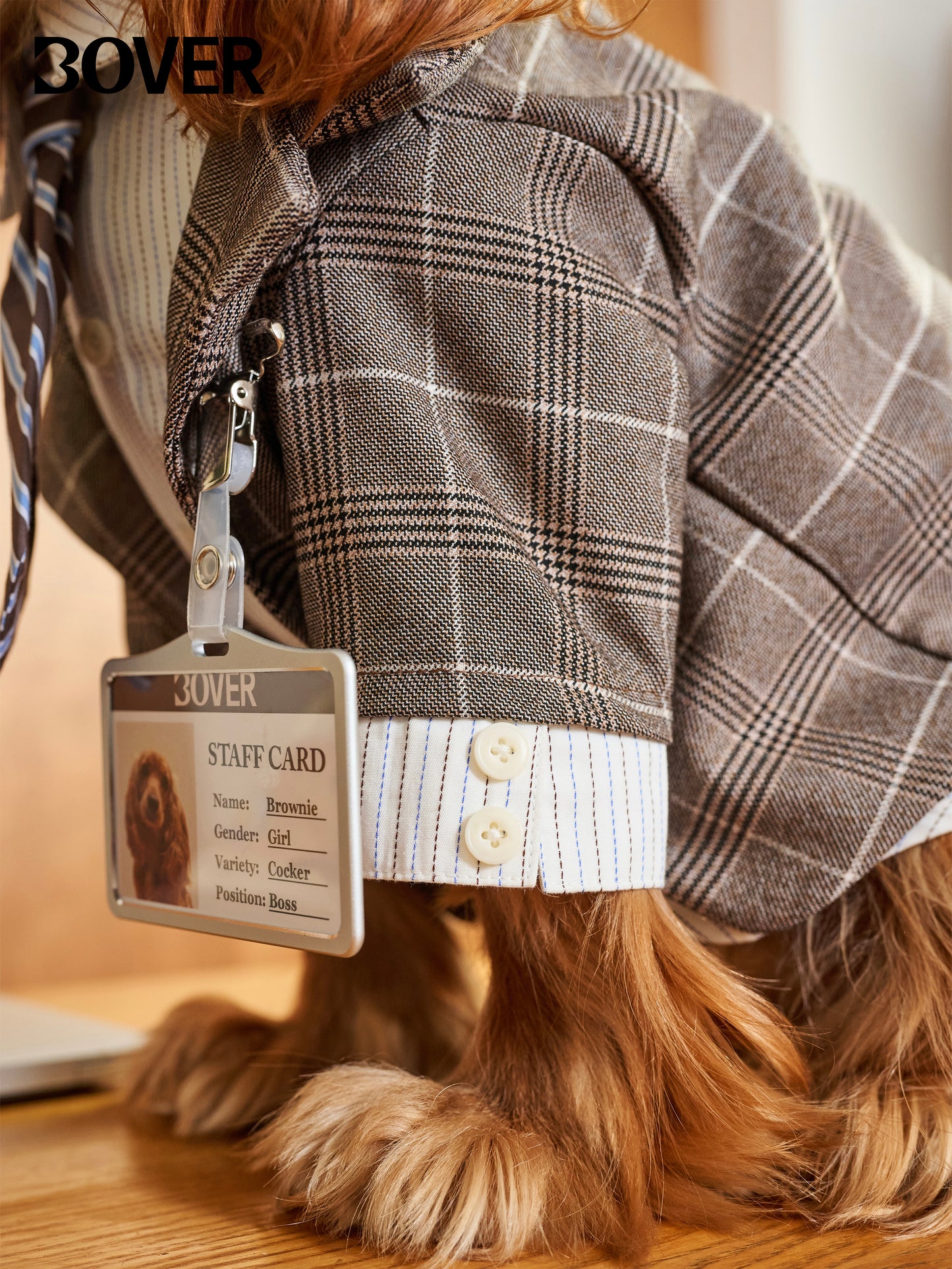 BOVER "Office Dog" Blazer Set - Detachable Tie & Mock Two-Piece Design