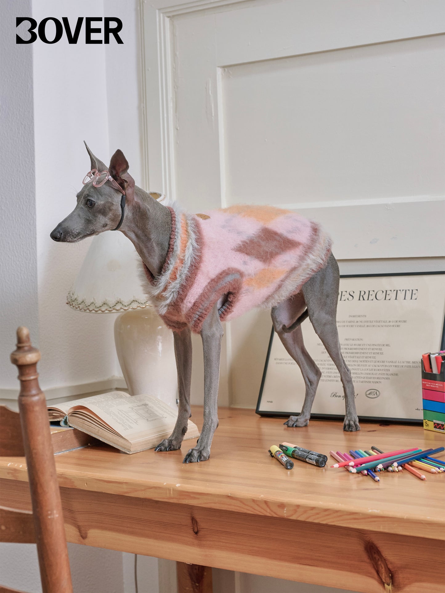 BOVER "Student Dog" Knit Vest - British Academic Style Pet Sweater