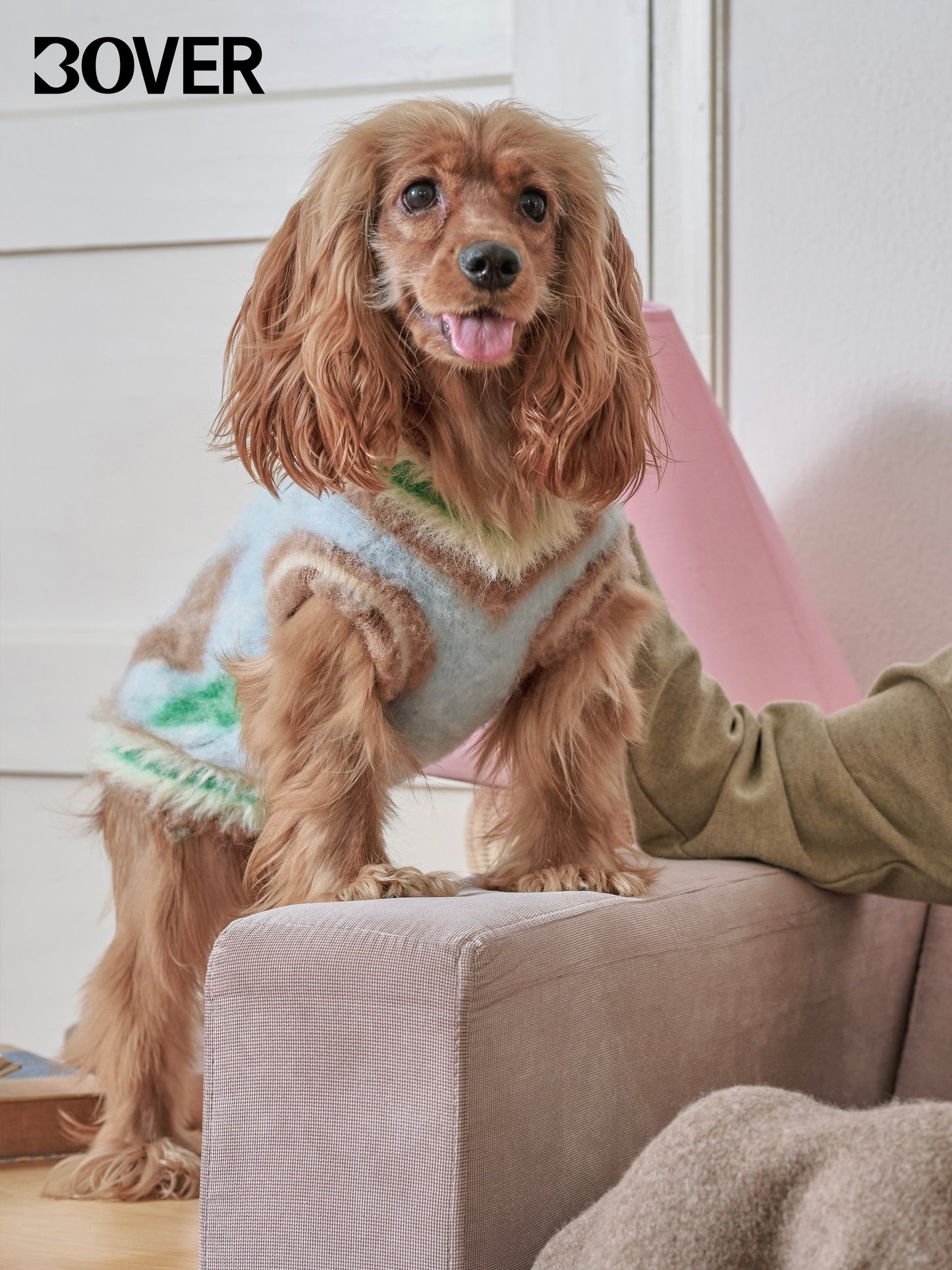 BOVER "Student Dog" Knit Vest - British Academic Style Pet Sweater
