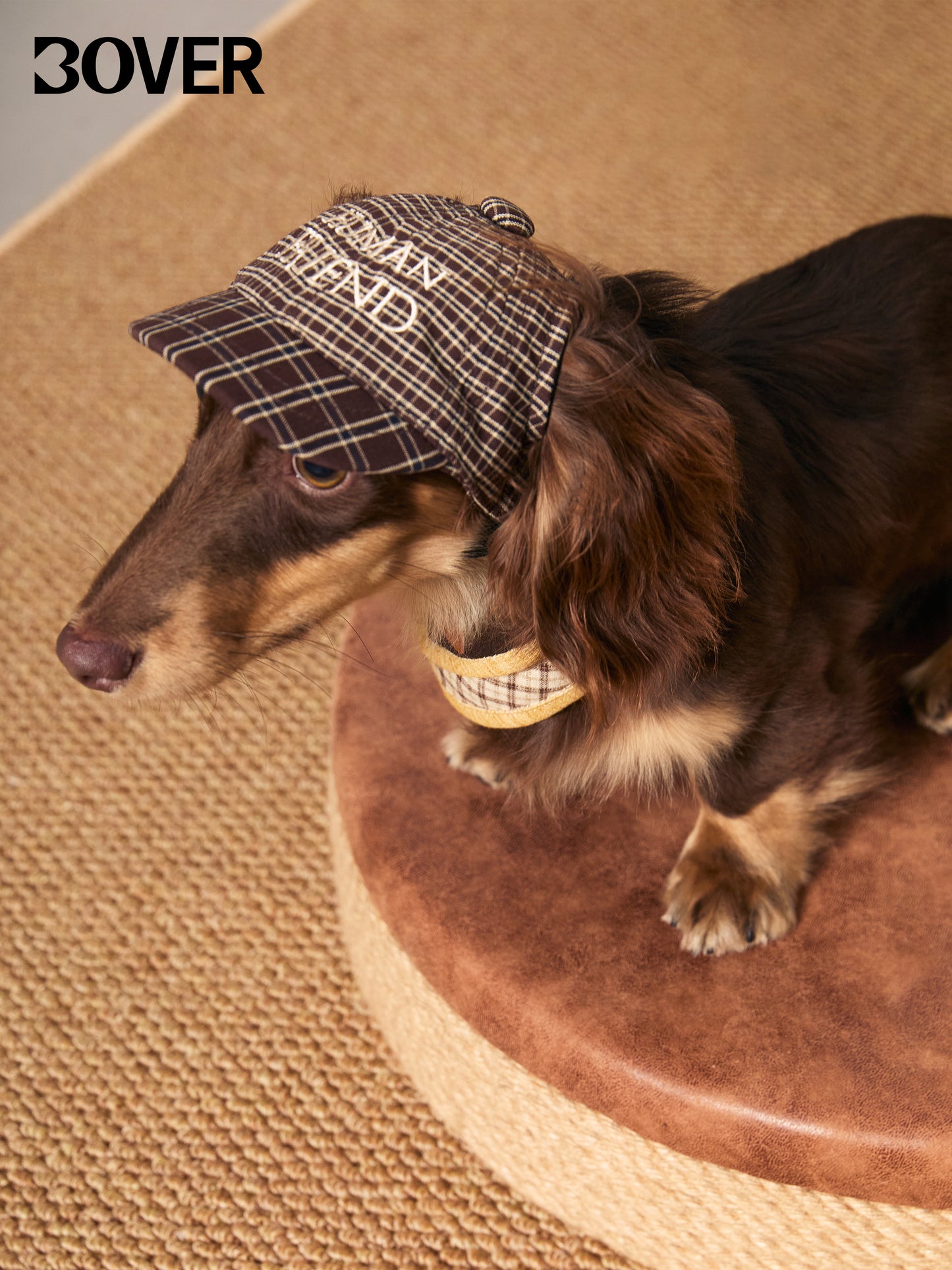 BOVER Pet Baseball Cap - Magnetic Buckle with Coconut Tag