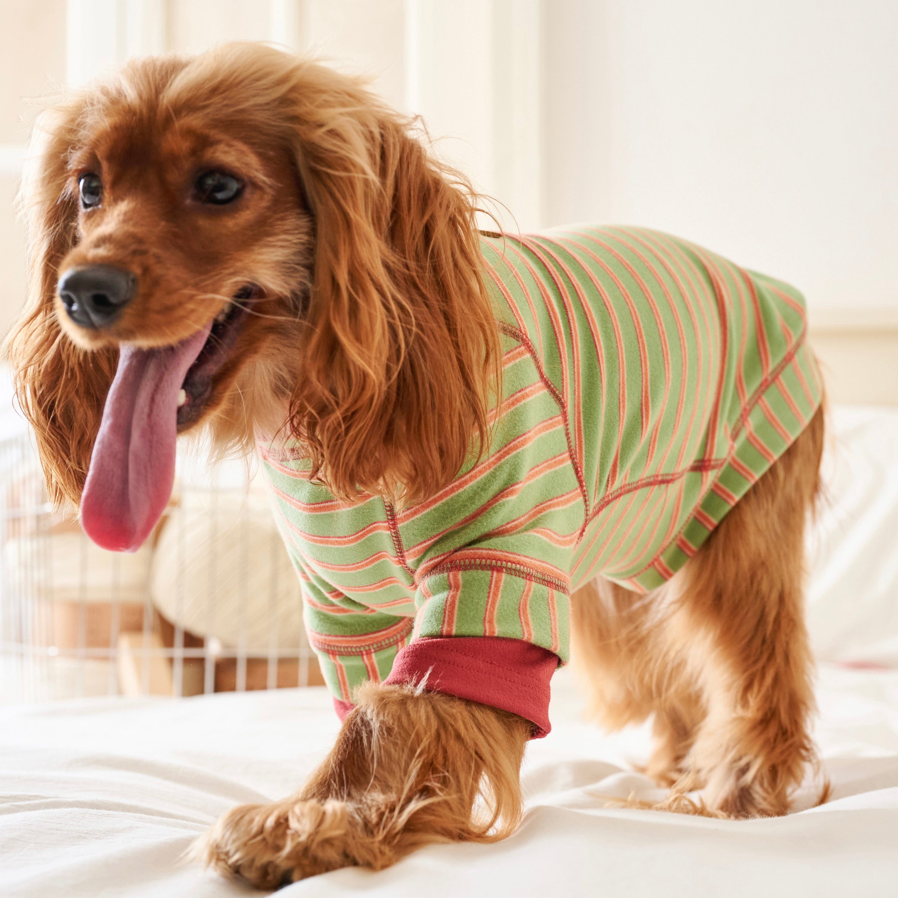 BOVER "Homebody Dog" Velvet Shirt