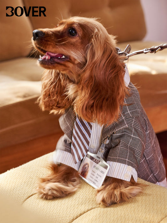 BOVER "Office Dog" Blazer Set - Detachable Tie & Mock Two-Piece Design