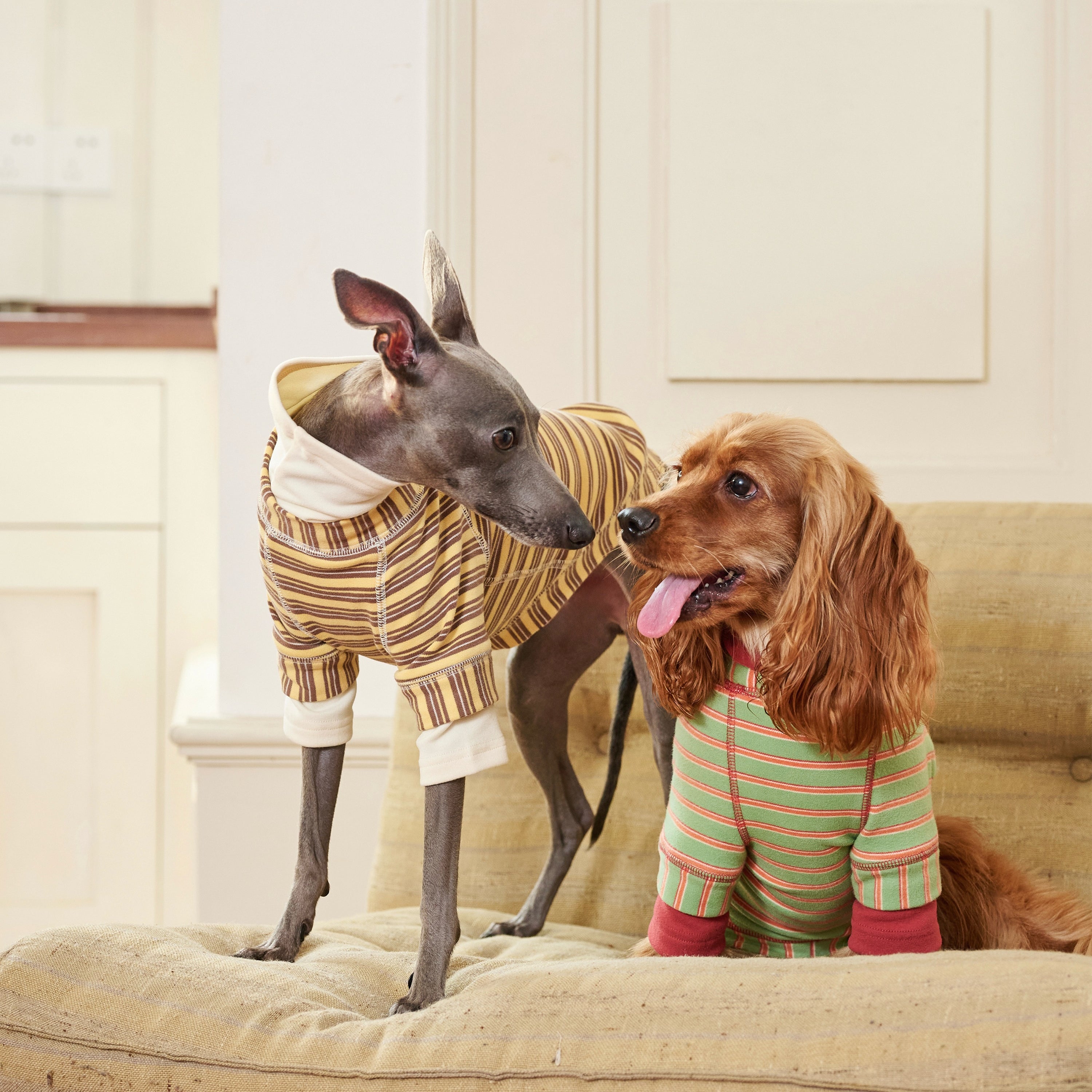 BOVER "Homebody Dog" Velvet Shirt