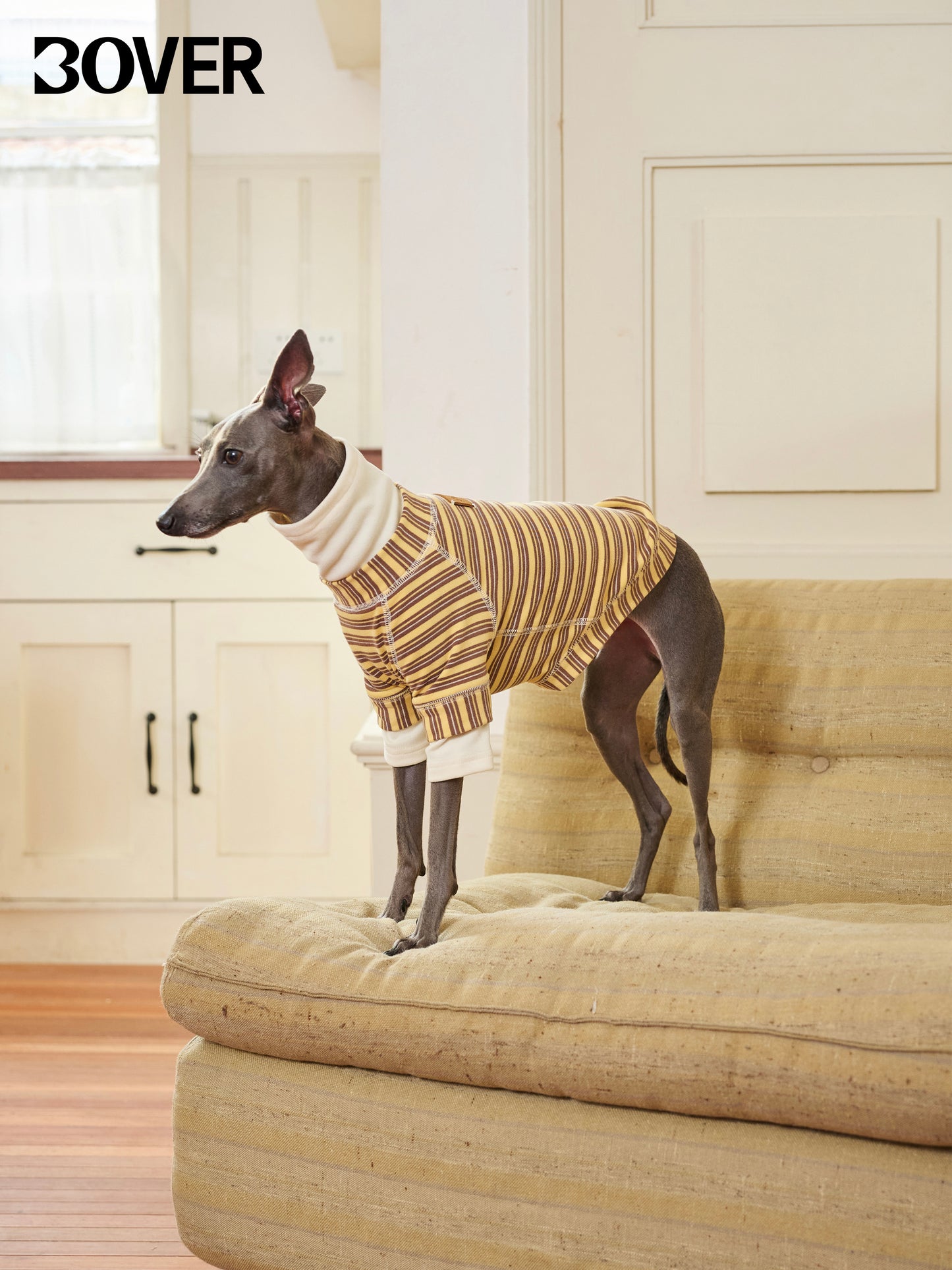 BOVER "Homebody Dog" Velvet Shirt - Cozy Pet Loungewear