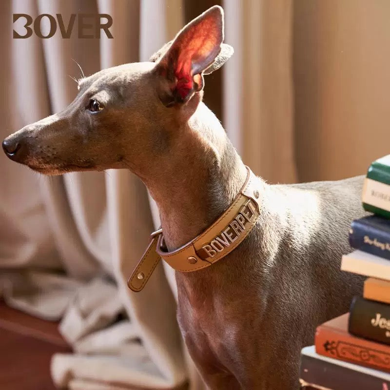 BOVER Custom Letter Collar - Personalized Pet Name with Genuine Leather