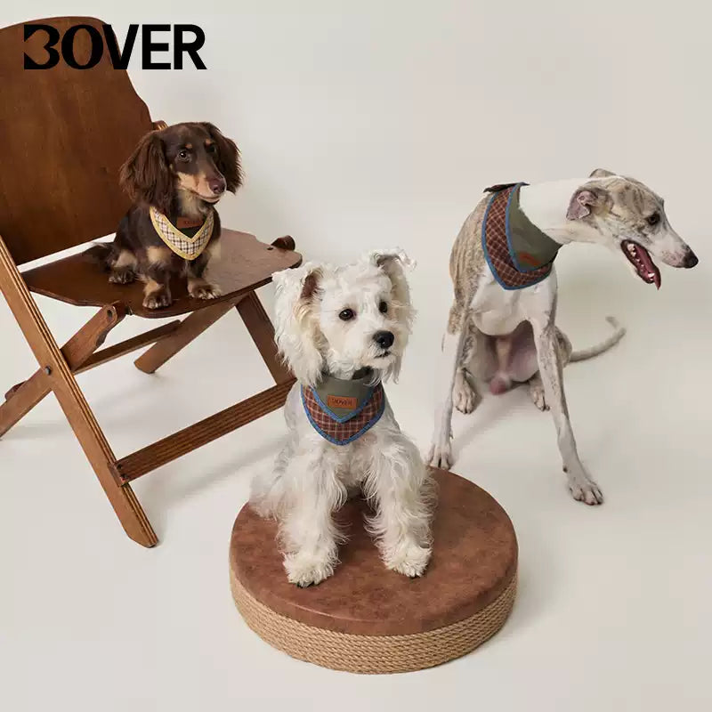 BOVER Adjustable Pet Collar - Double-Layer Design with Premium Stitching